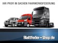 Zusatzluftfederung GS Fiat Ducato (14-__) 8" 2-K (elektr. Parkbremse)